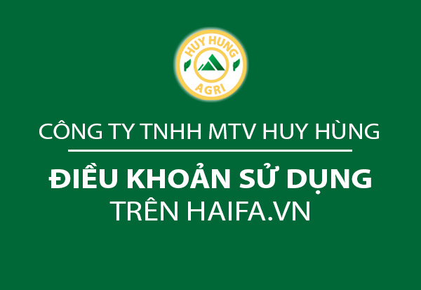 Điều khoản sử dụng